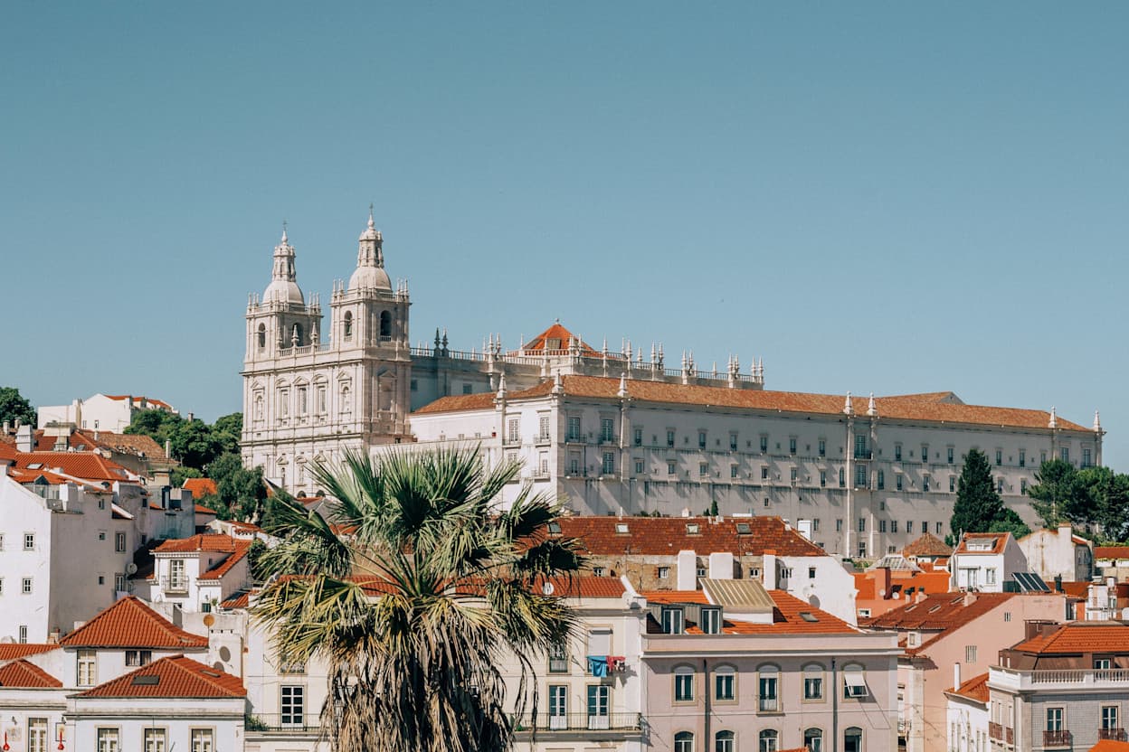 Taken from below Alfama, the image captures the white buildings with terracotta roofs and the famous castle in the city in the Alfama neighborhood of Lisbon. A palm tree is also in the foreground of the image.