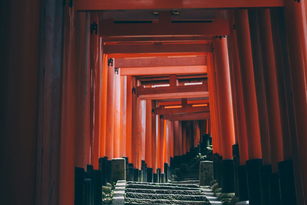 An image of the famous neon orange Tori Gates in Fushimi, Kyoto. The individual 3-sided gates are lined up against one another continuing up the path as long as the image can see.