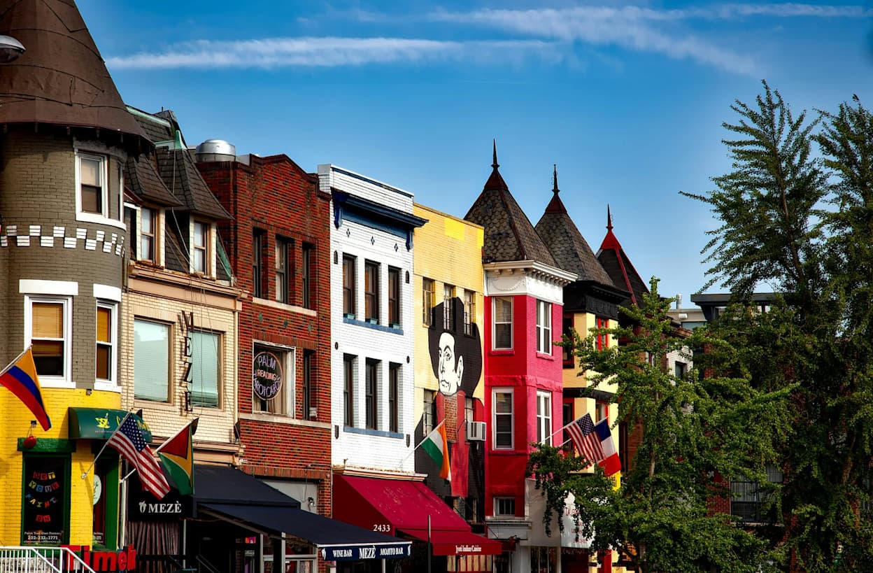 An image of brightly painted Victorian houses in the Adams Morgan neighborhood in Washington DC. Trees are in the foreground, and a blue sky is behind the tops of the houses.
