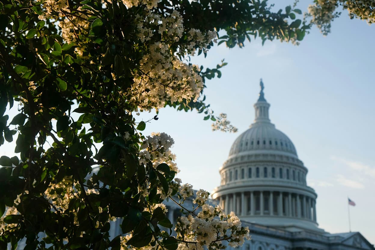 An image of the US Capitol Building, with trees framing the image in the foreground. Taken in the Capitol Hill neighborhood of Washington DC.