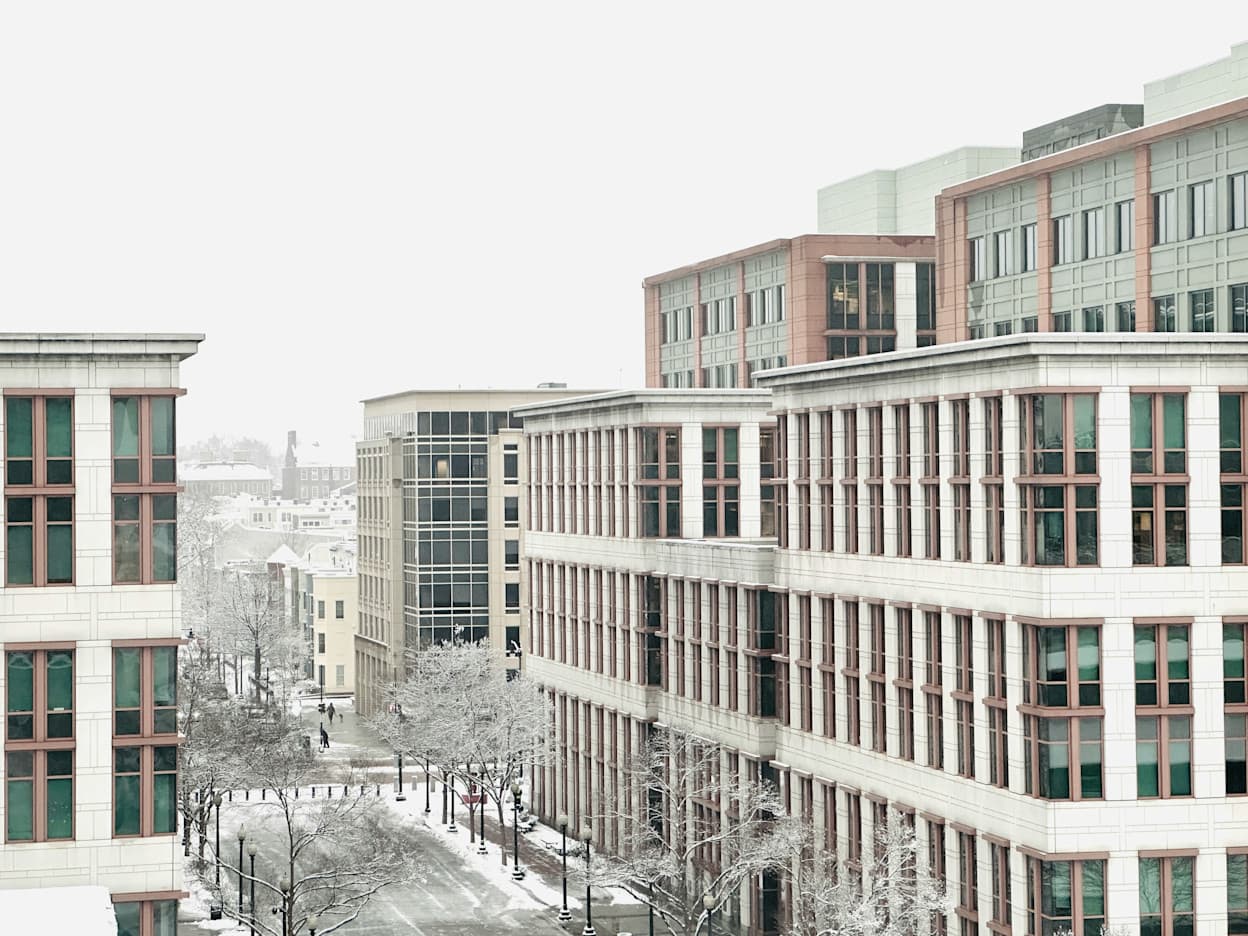 An image taken in a blizzard of the Navy Yard neighborhood in Washington DC. Snow covers all of the trees on the street, and the sky is white. Modern multi-level developments line the road.