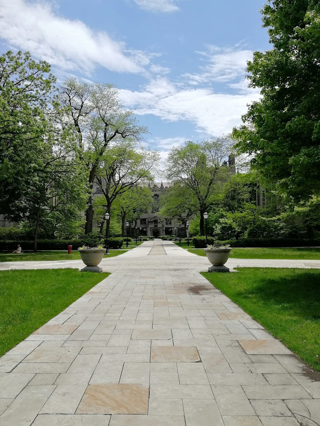An image along a path at the University of Chicago