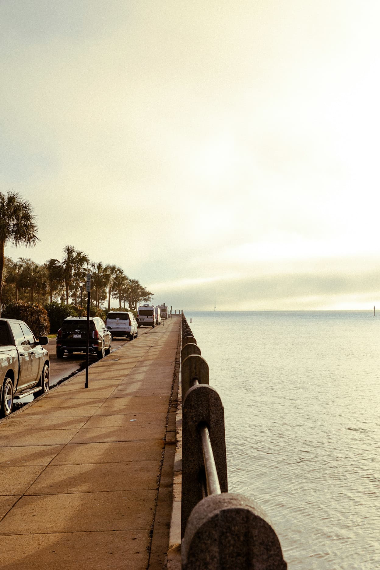 Taken along the historic Battery waterfront peninsula in Charleston, South Carolina. Palm trees line the other side of the road, and the cement pedestrian walkway drops off into the ocean.