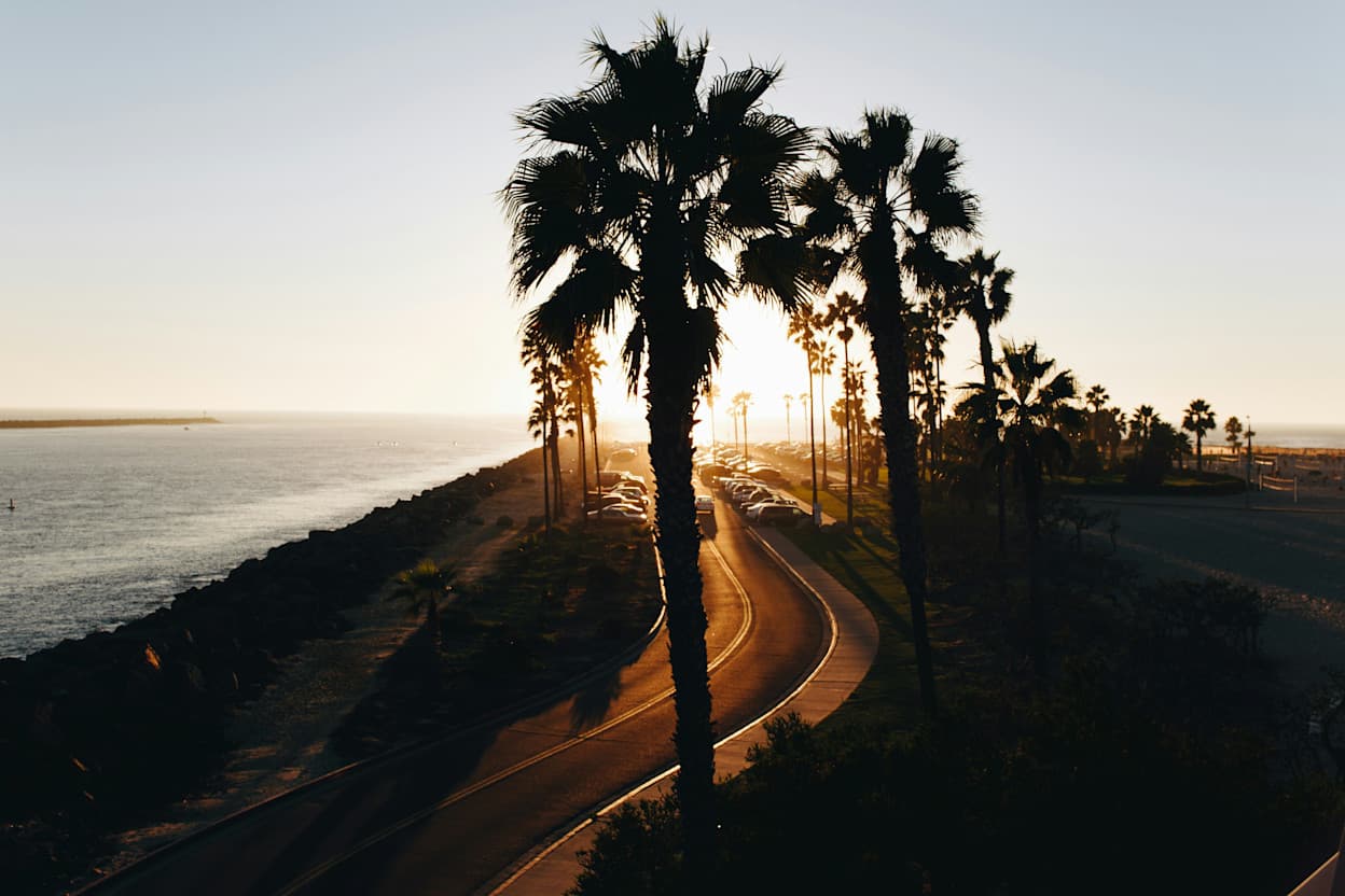 Taken at sunset in Mission Beach, San Diego, this image captures a winding road along the Pacific Ocean, lined with palm trees which appear as silhouettes in the image.