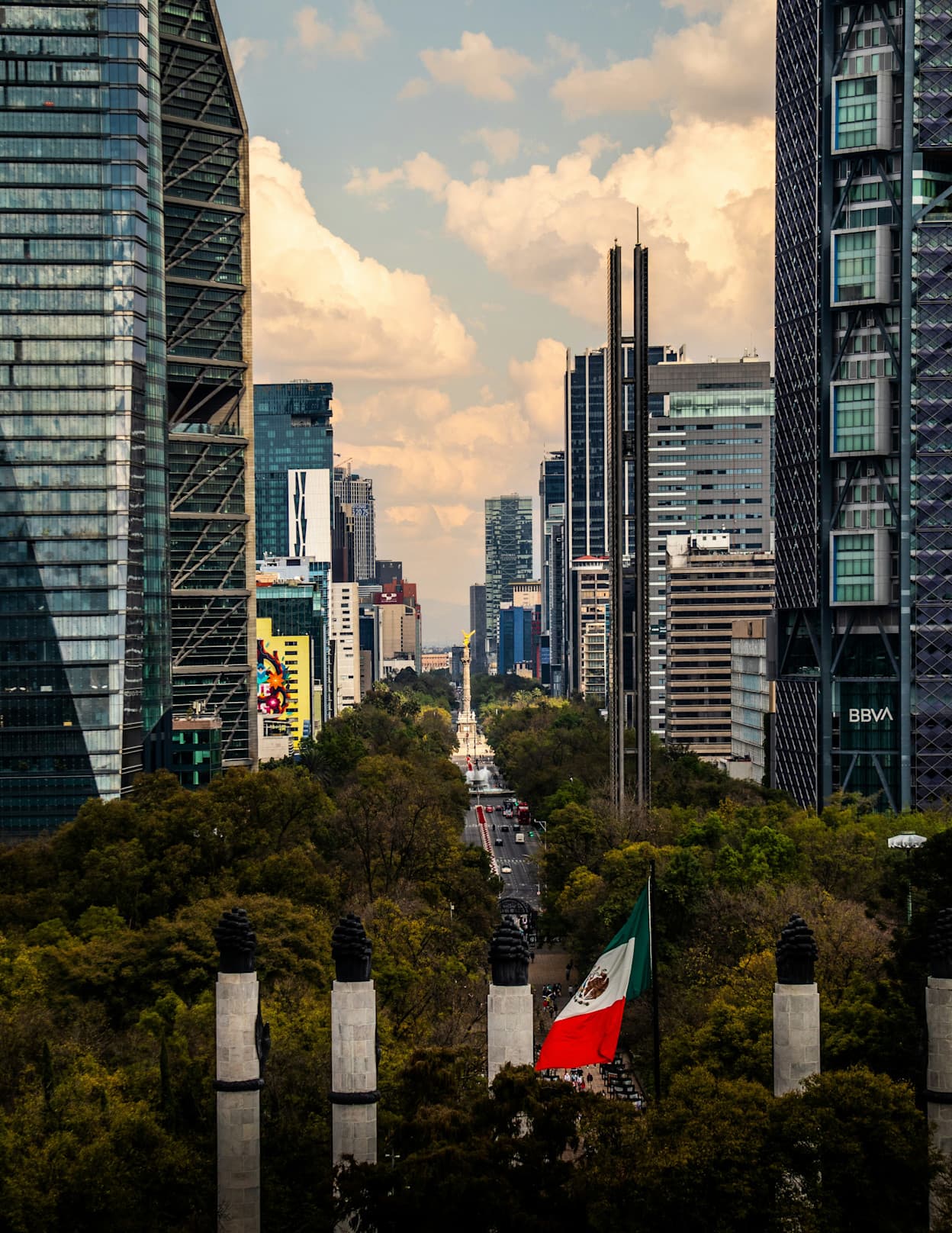 A tree-lined street in the Colonia Cuauhtémoc neighborhood with tall buildings lining the road. 