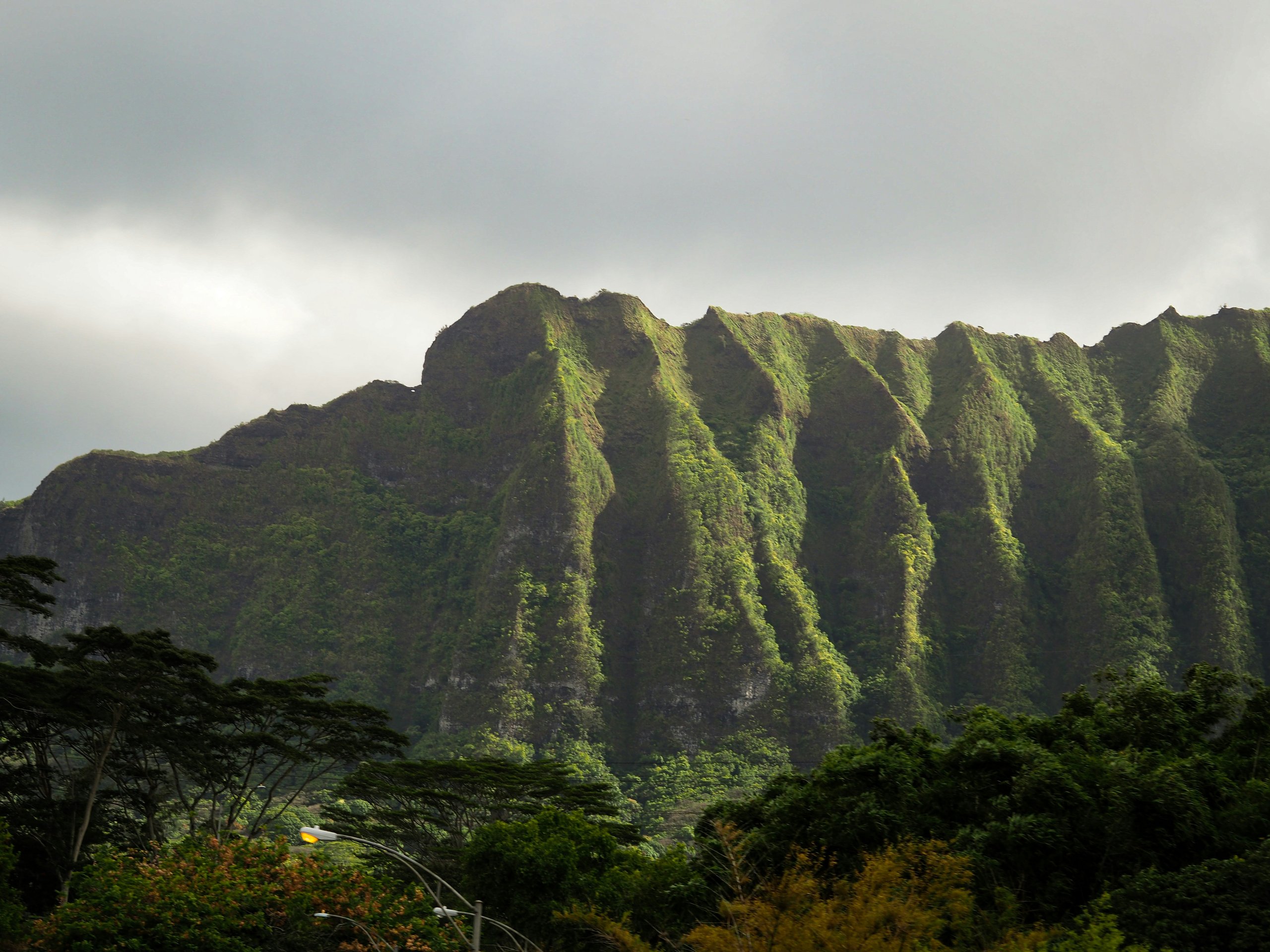 Green mountains with steep ridges under a cloudy sky, with trees and streetlights in the foreground.