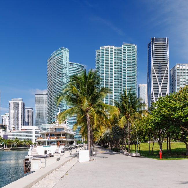 Calm waterfront walkway lined with palm trees and modern high-rise buildings under a clear blue sky.
