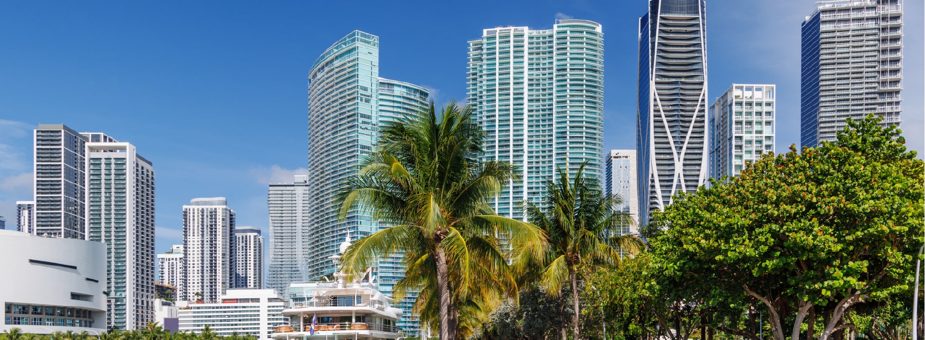 AME Miami Consortium