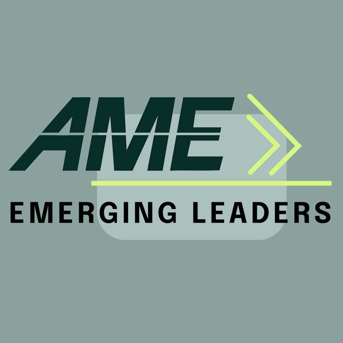 AME Emerging Leaders