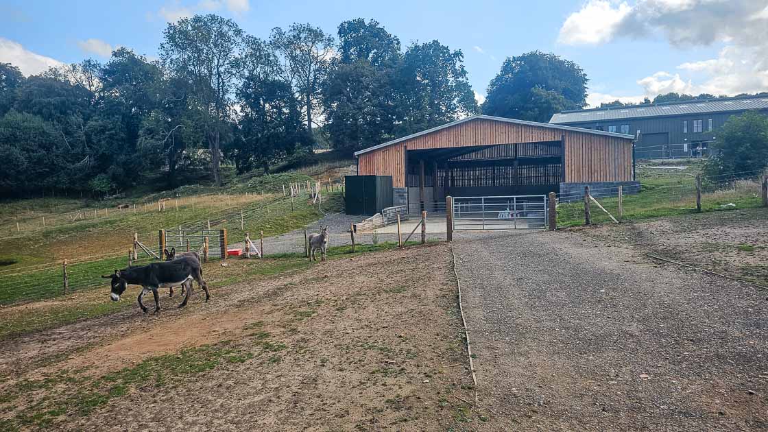 Commercial fencing and gates installed by Green Leaves Fencing and Gates at an agricultural property in East Grinstead.