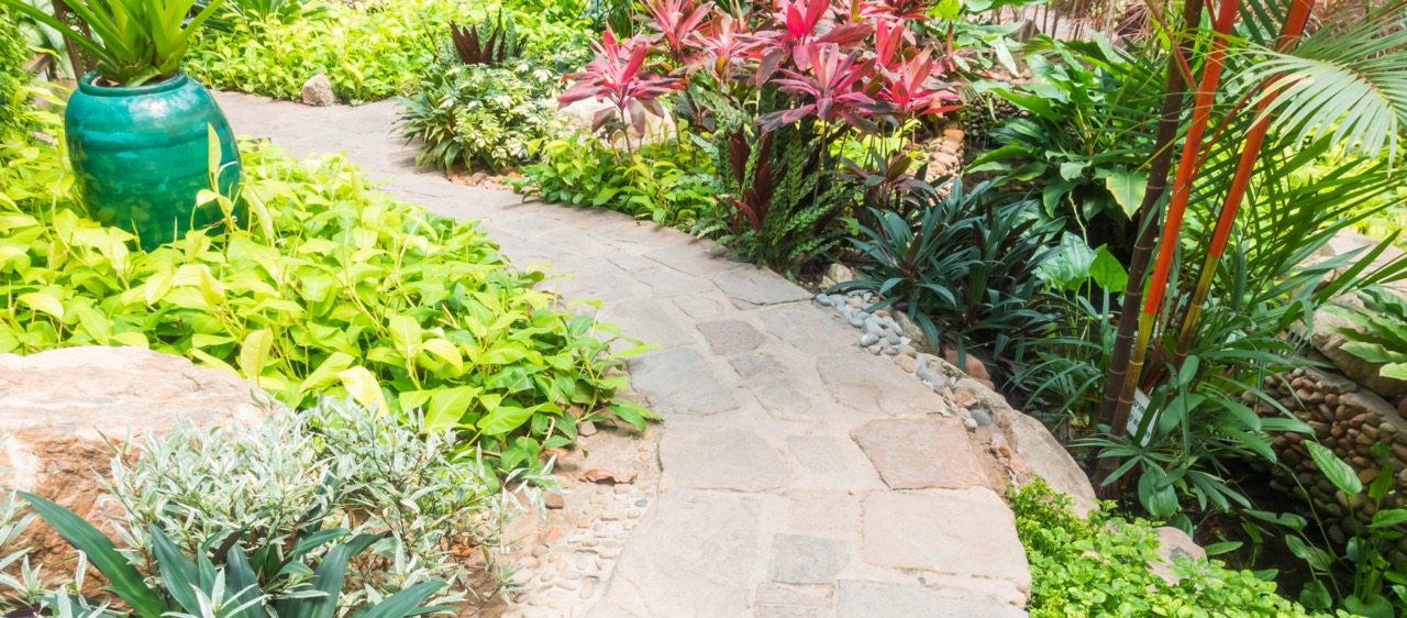 Outdoor Landscaping Tips for Your Yard