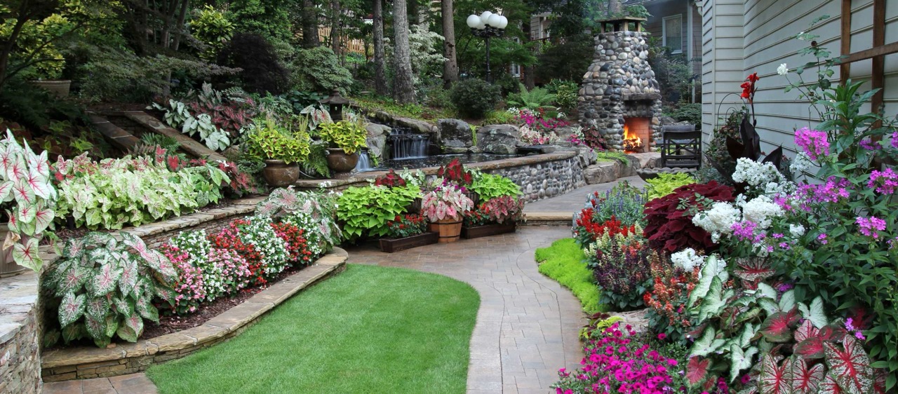 Landscape design 101: Basics for a beautiful yard