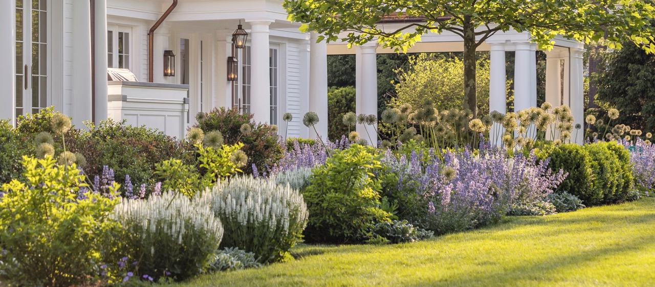 Landscape Design Ideas for a Beautiful Yard