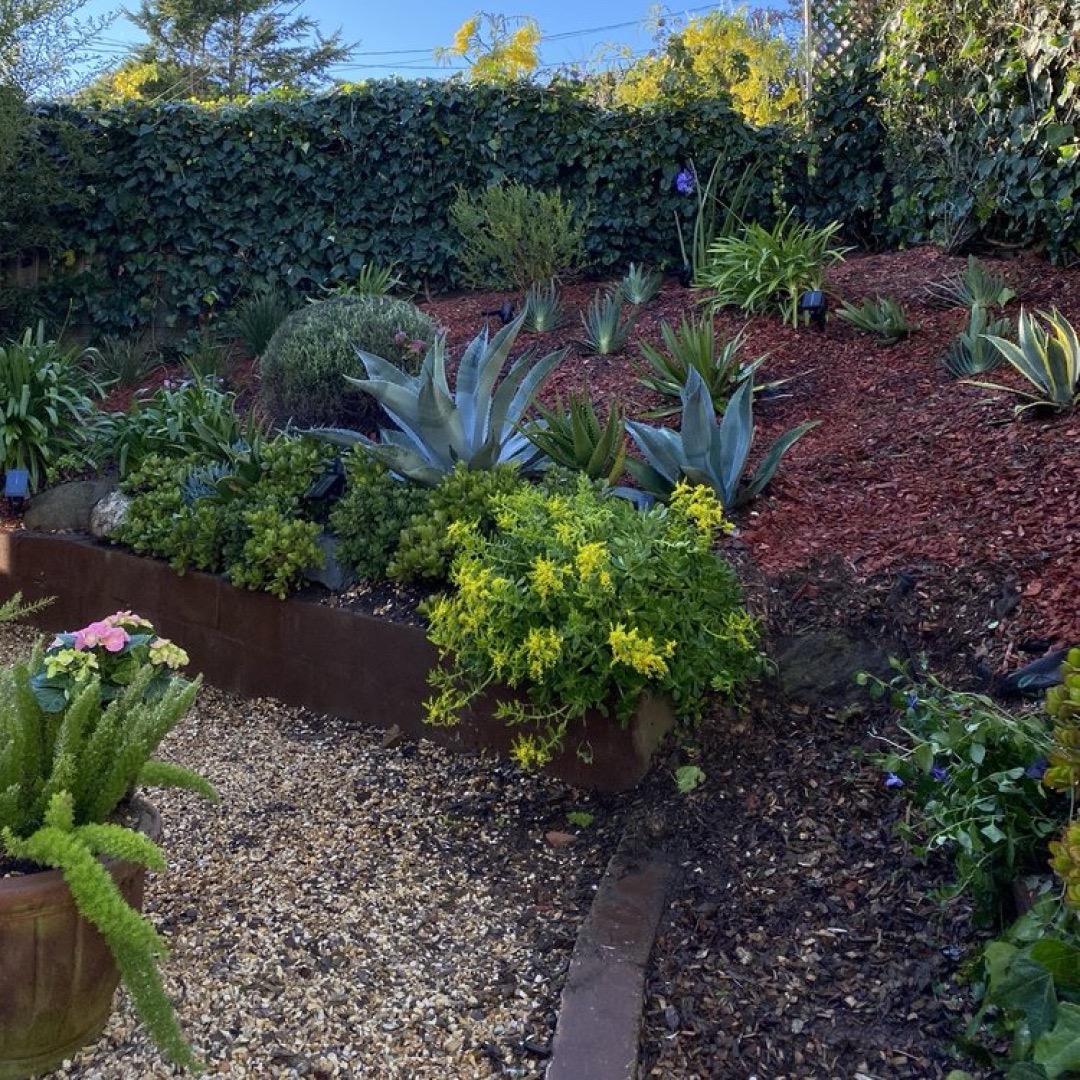 Landscape Design Ideas for a Beautiful Yard