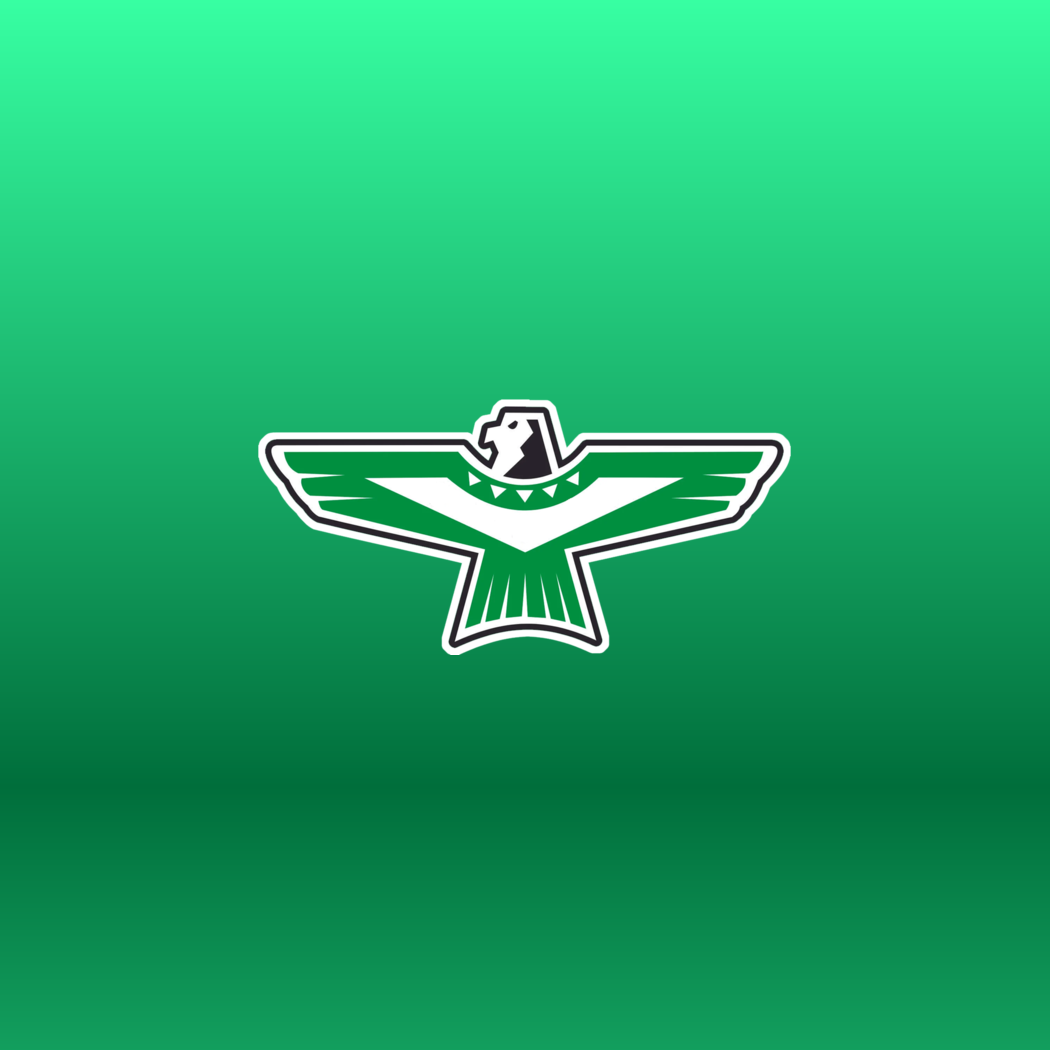 North Callaway logo