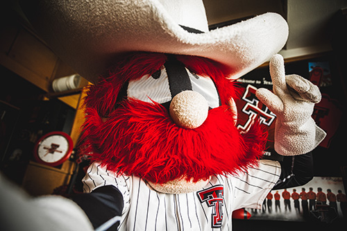 Raider Red Texas tech mascot