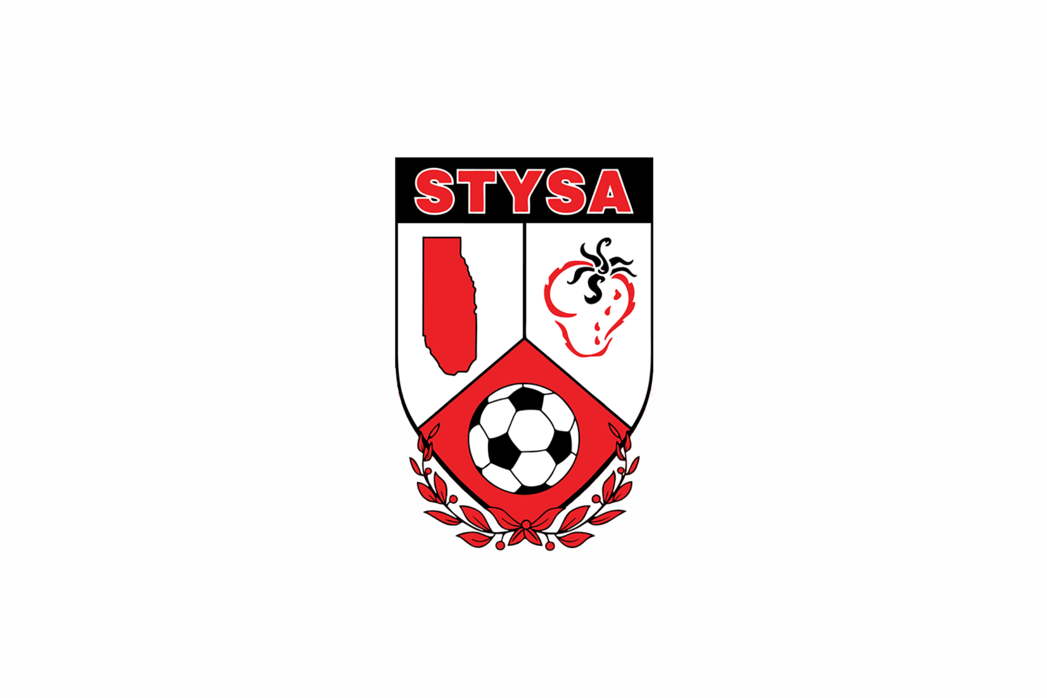 STYSA Boys Strawberry Cup