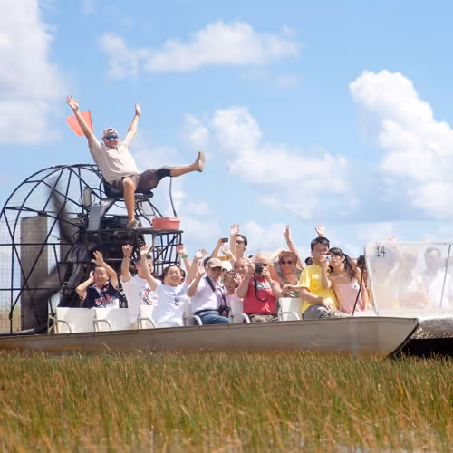 Piloti di airboat applaudono mentre scivolano sul fiume d'erba nelle Everglades