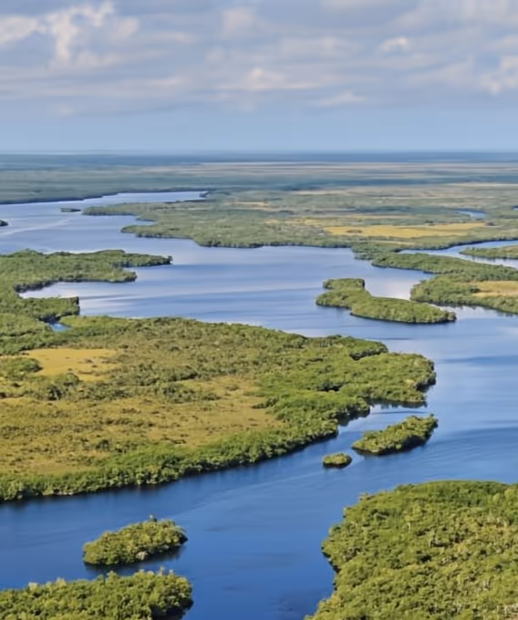 Tour delle Everglades: Airboat, alligatori e avventura