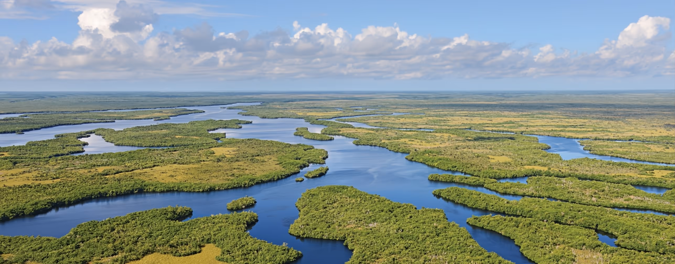 Everglades Tours: Airboats, Alligators & Adventure