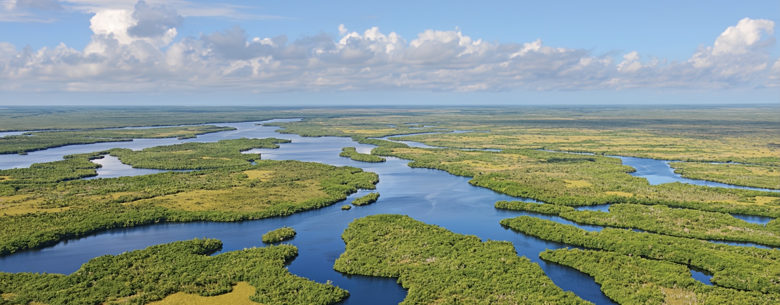 Everglades Tours: Airboats, Alligators & Adventure