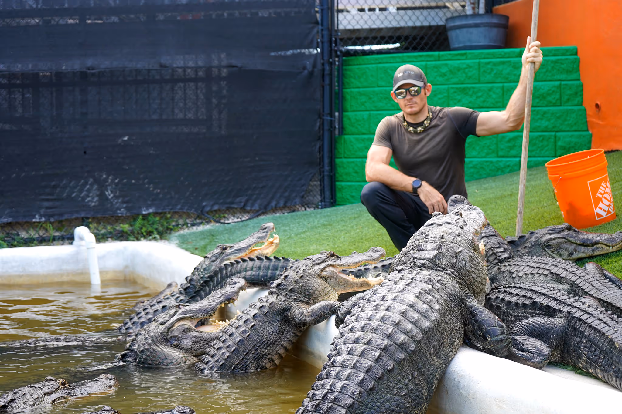 Alligator wrangler with four giant gators