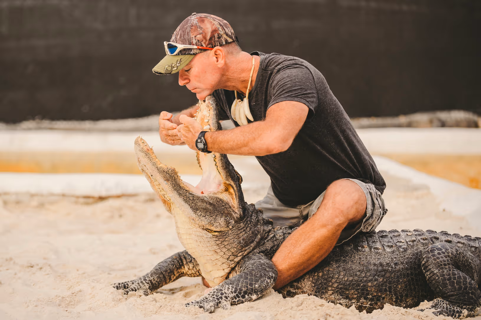 Alligator wrangler putting on a show