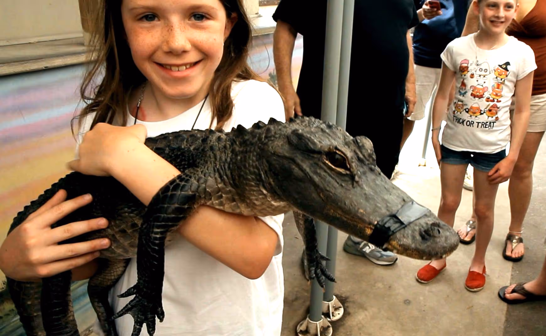 Young girl holding a baby gator