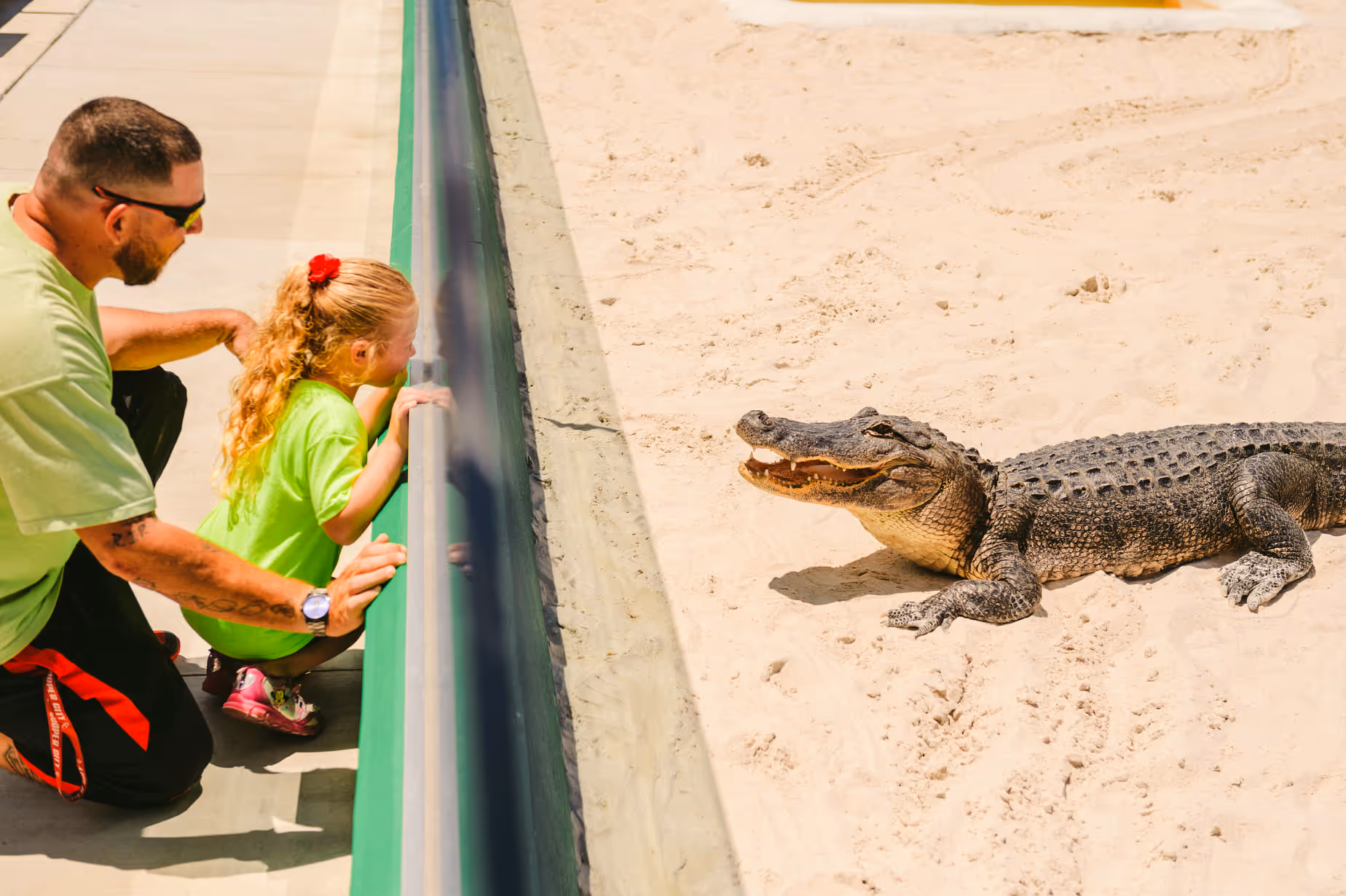 Father and daughter up close with an alligator