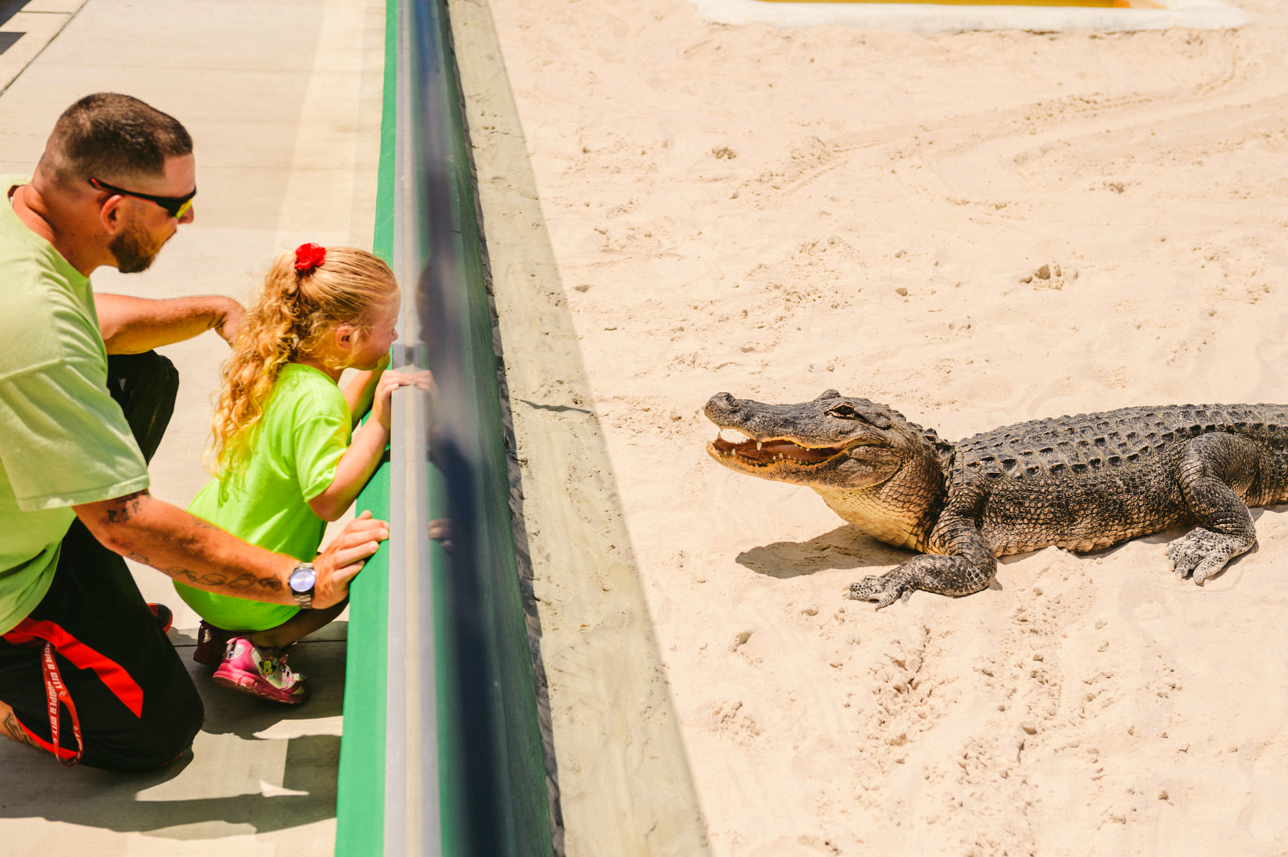 Father and daughter up close with an alligator