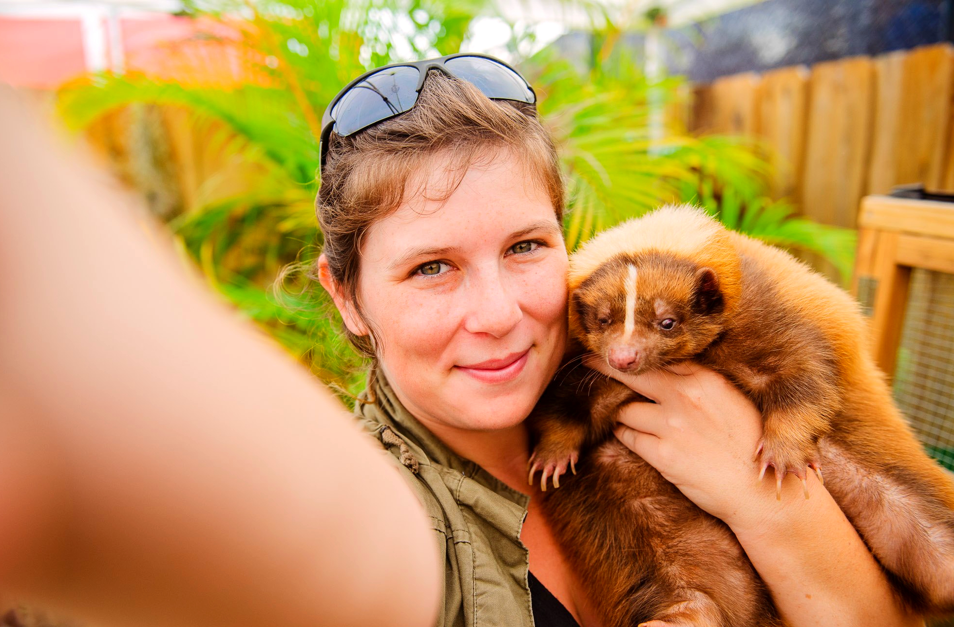 Taking a selfie with a with a wild animal
