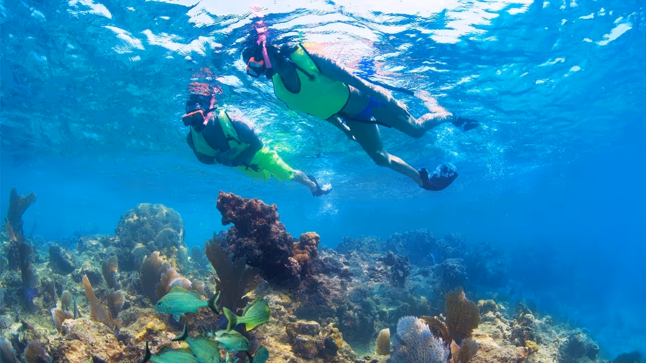Snorkeling above a colorful reef