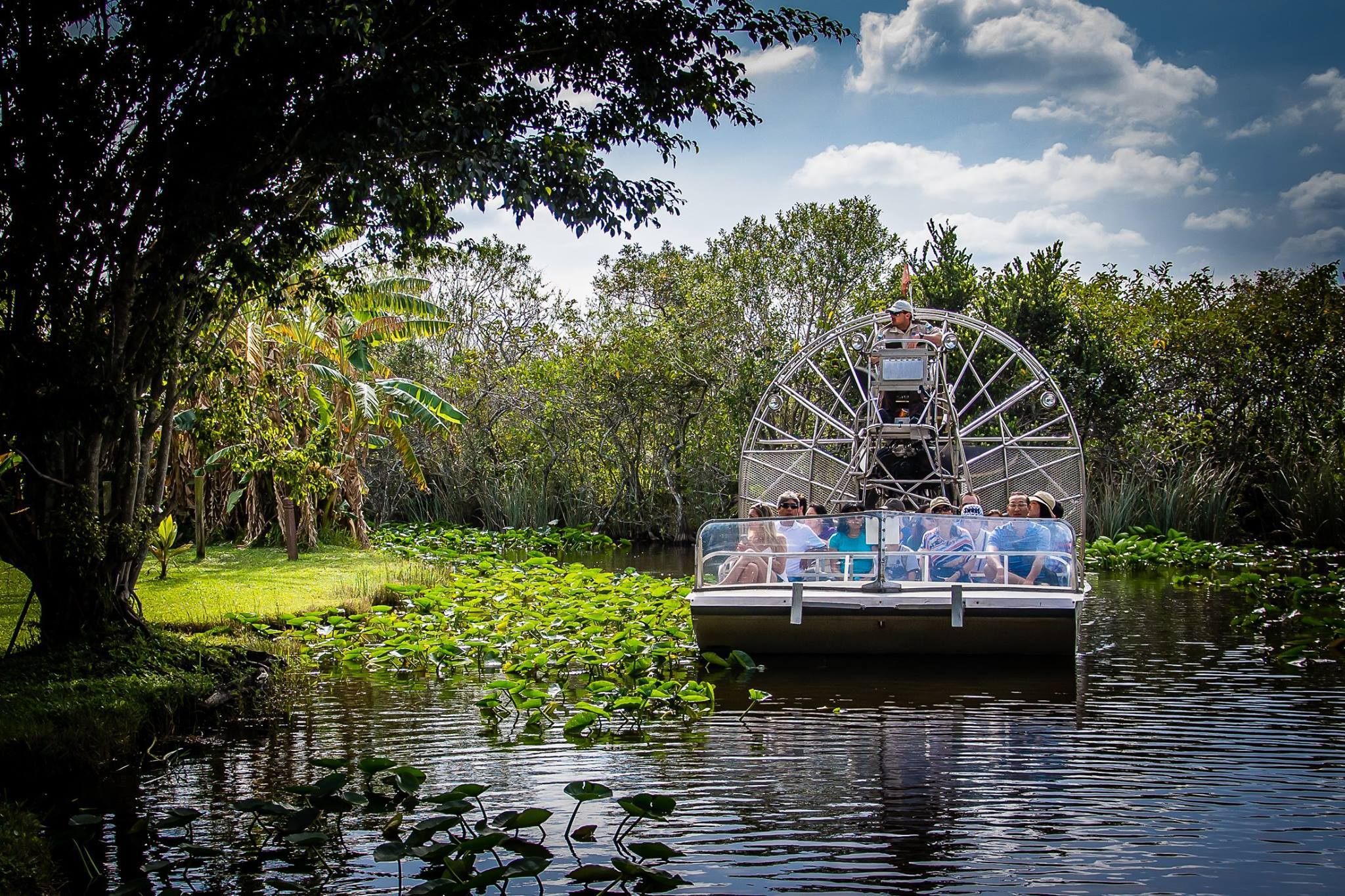 Taking an airboat ride on glassy water
