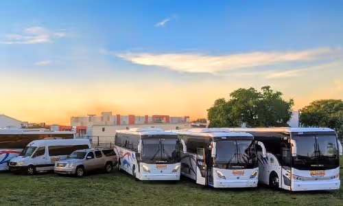 The Miami Tour Company Fleet: Buses and Vans for Every Adventure