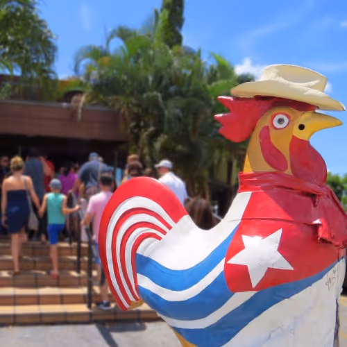 Tour privato a piedi di Little Havana