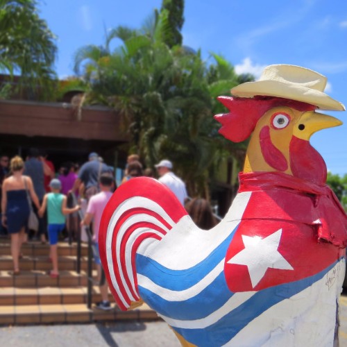 Tour privato a piedi di Little Havana 