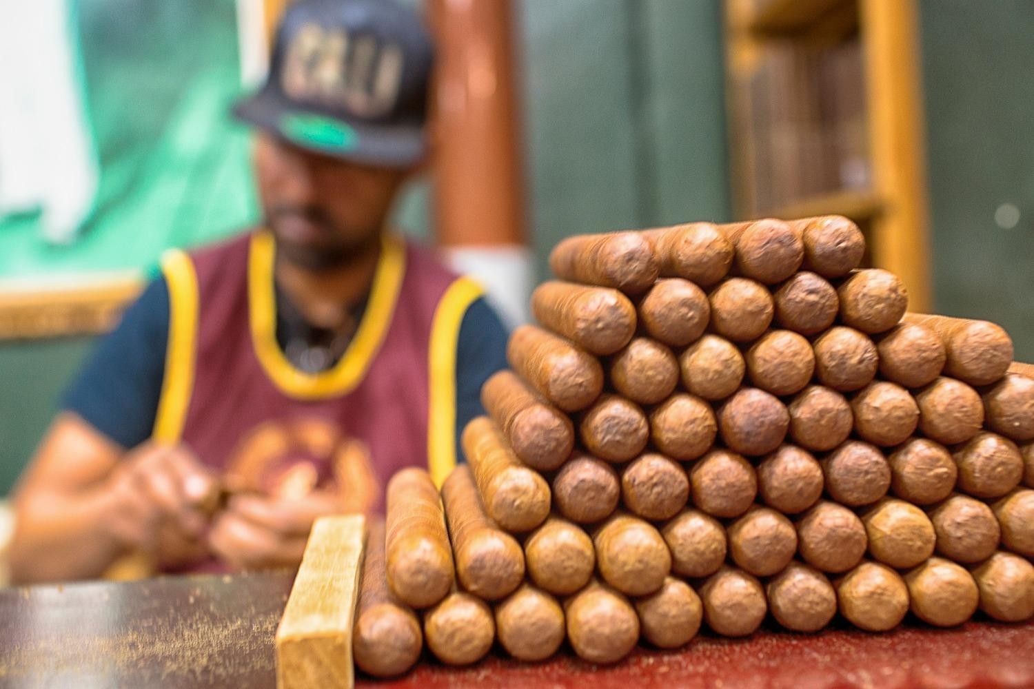 Close-up of a cigar roller with a stack of hand-rolled cigars