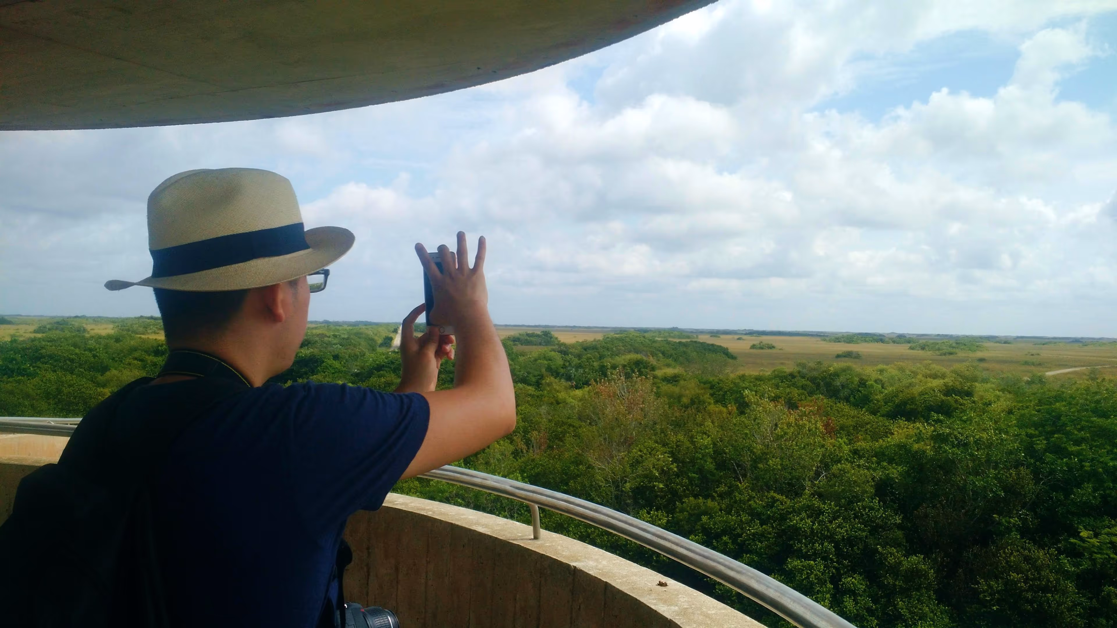 Stunning views of the Everglades swamp from the observation tower at Shark Valley