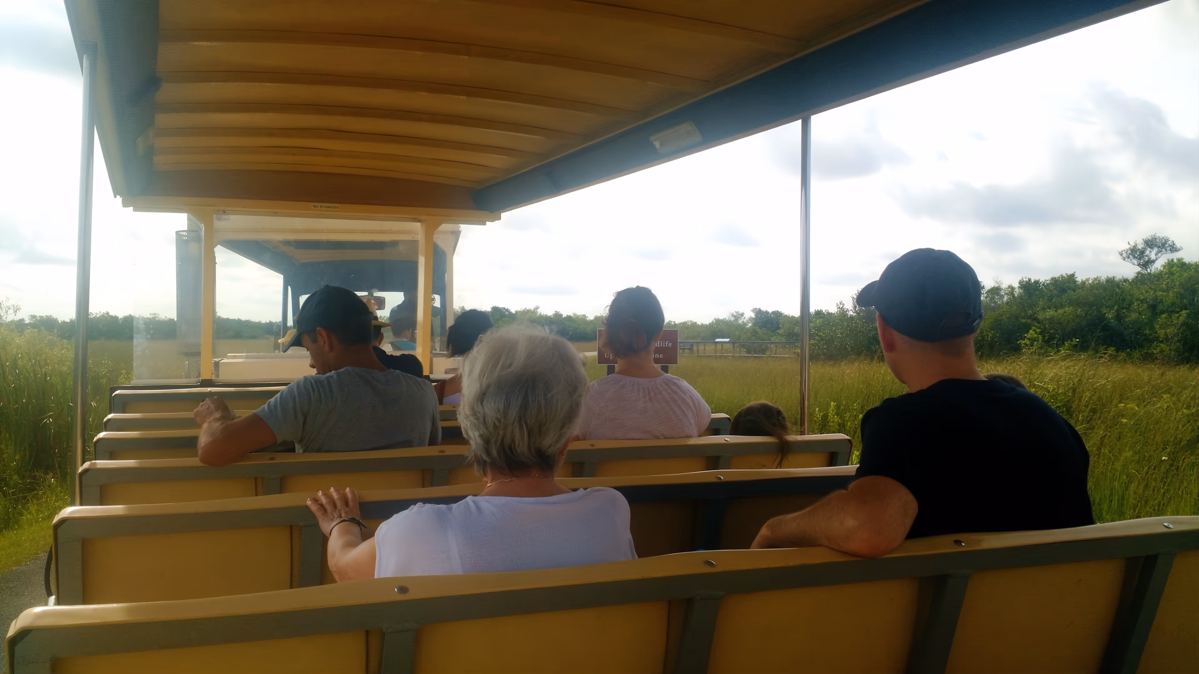 On the lookout for alligators on the Shark Valley Tour