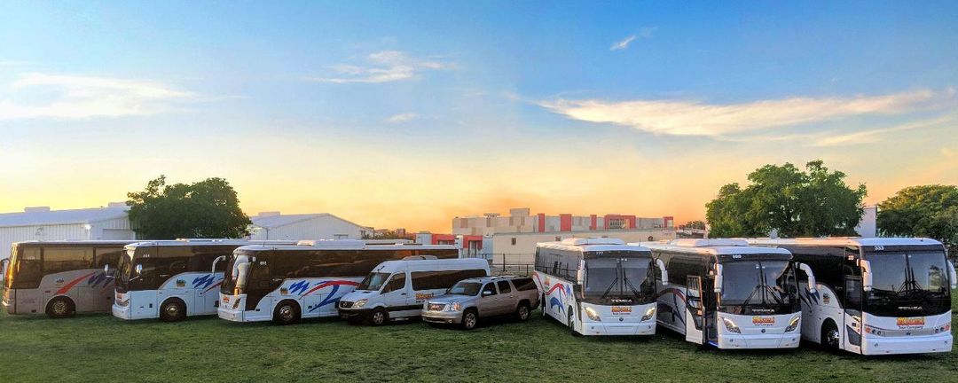 La flotta della Miami Tour Company: autobus e furgoni per ogni avventura