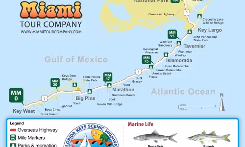 Carte des Florida Keys : temps de route, îles et arrêts incontournables