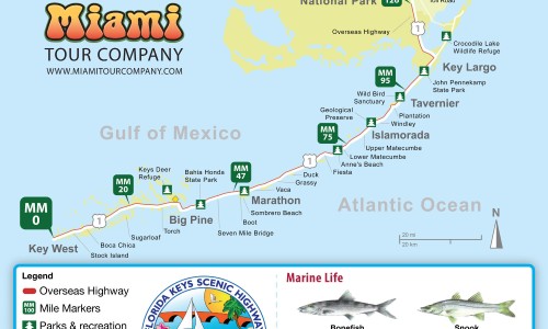 Mapa de los Cayos de Florida: tiempo de conducción, islas y paradas imperdibles