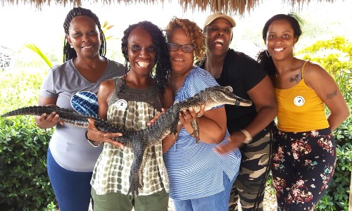 Recorrido con audio gratuito por los Everglades: explore la maravilla natural de Florida a su propio ritmo