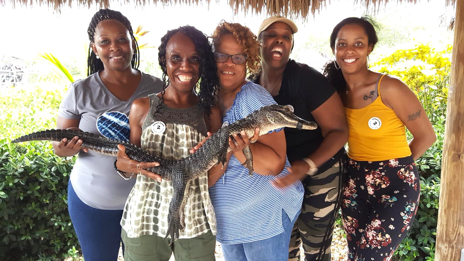 Visite audio gratuite des Everglades : explorez les merveilles naturelles de la Floride à votre rythme