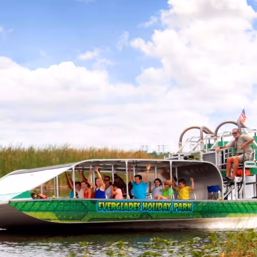 Tour mattutino delle Everglades 