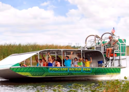 Tour mattutino delle Everglades
