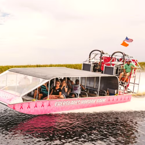 Tour delle Everglades + crociera a Star Island (combinazione)