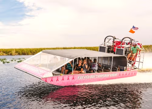 Everglades Tour + Star Island Cruise (Combo) 