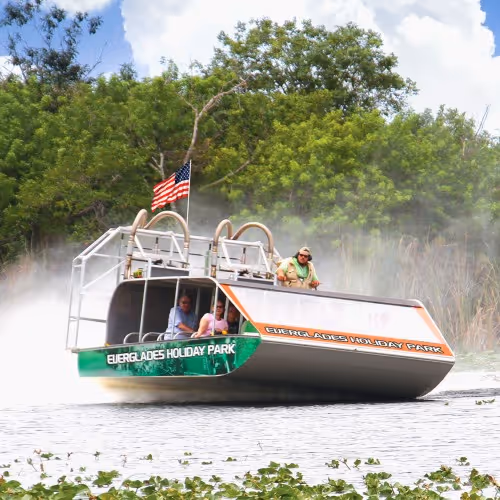 Tour pomeridiano delle Everglades