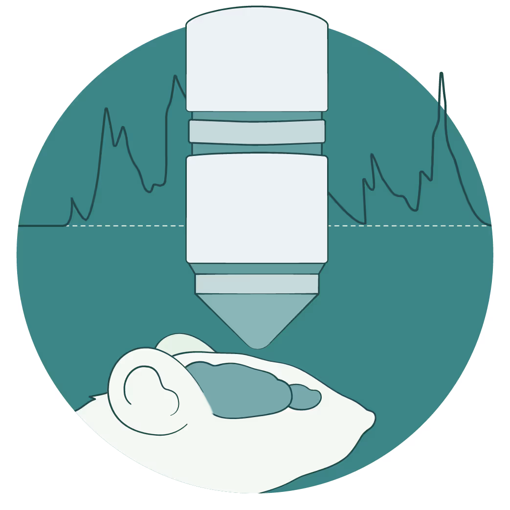 Microscope objective positioned above a mouse with neural activity waveforms, illustrating in vivo brain imaging during behavior